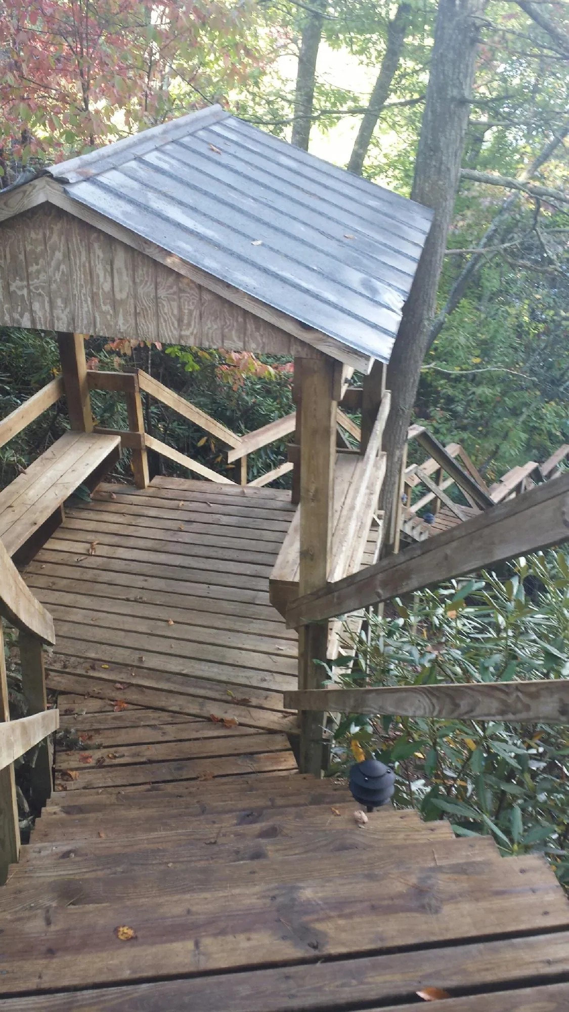 Metal roofed shelter over wooden steps on a wooded walkway — Skylight Repair & Installation work by our crew in Carroll